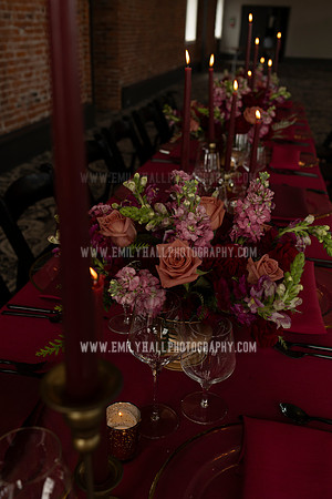 EmilyHallPhoto-0209