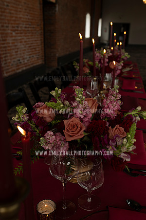 EmilyHallPhoto-0210