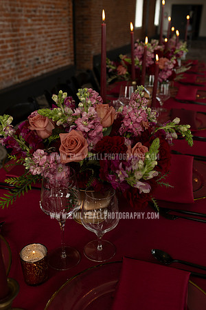 EmilyHallPhoto-0213