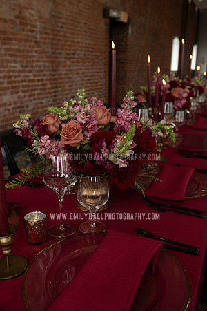 EmilyHallPhoto-0216
