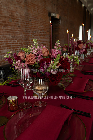 EmilyHallPhoto-0217
