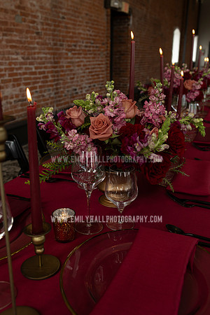 EmilyHallPhoto-0218