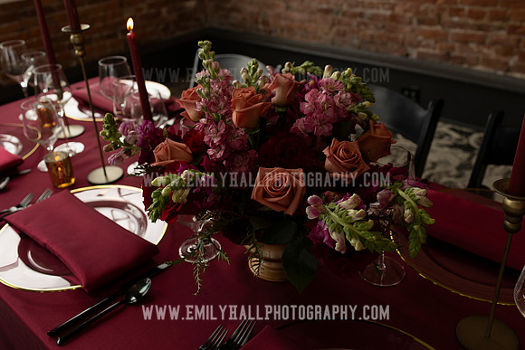 EmilyHallPhoto-0223