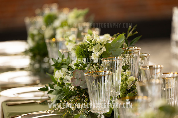 EmilyHallPhoto-0223-2