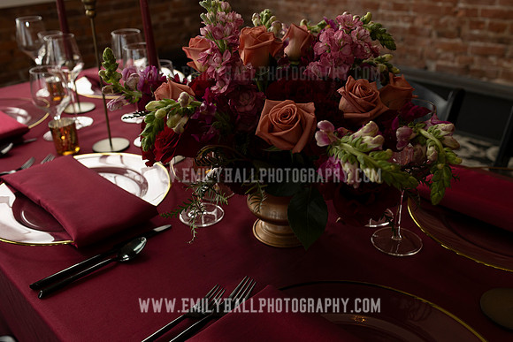 EmilyHallPhoto-0224