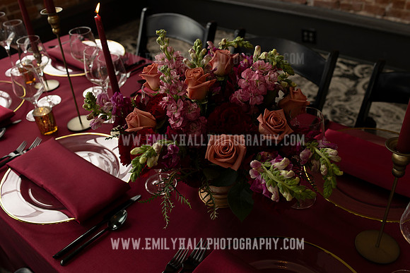 EmilyHallPhoto-0225