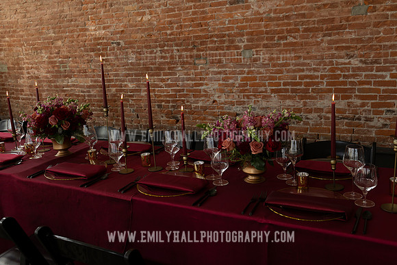 EmilyHallPhoto-0242
