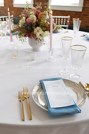 EmilyHallPhoto-0249