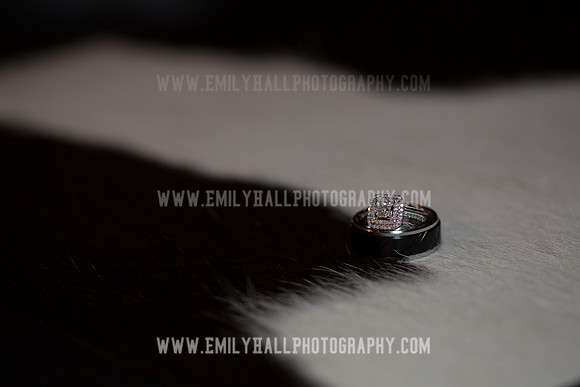 Emily Hall Photography - Sass & Chris-1529