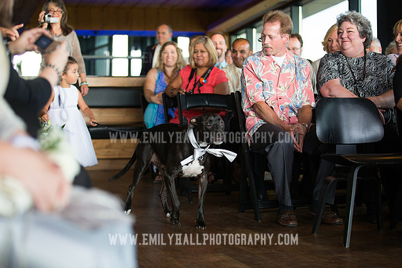 Emily Hall Photography - Sass & Chris-0982