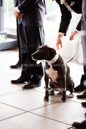 Emily Hall Photography - Sass & Chris-0985
