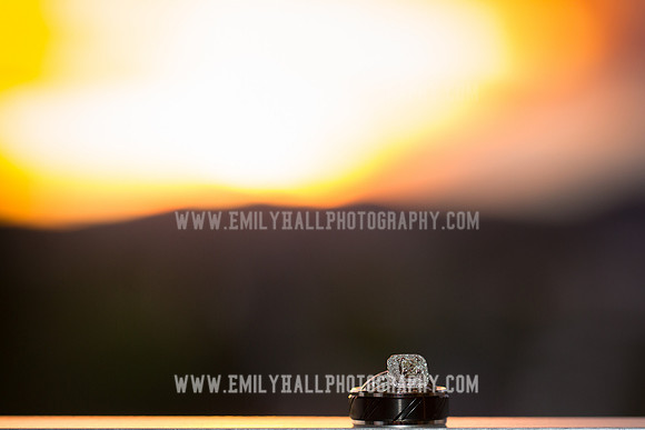 Emily Hall Photography - Sass & Chris-1521