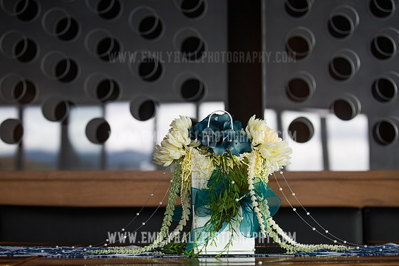 Emily Hall Photography - Sass & Chris-0499