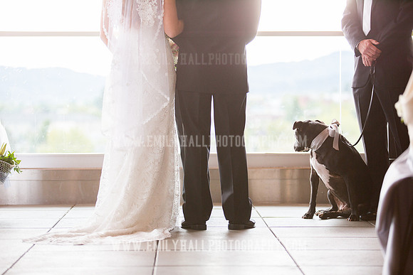 Emily Hall Photography - Sass & Chris-1017