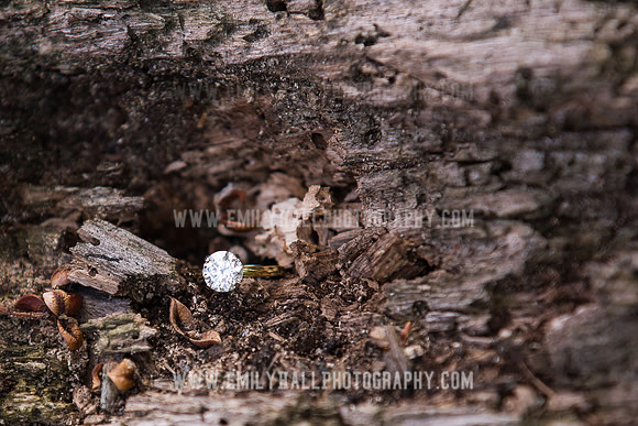 Emily Hall Photography - Proposal Photos-7716