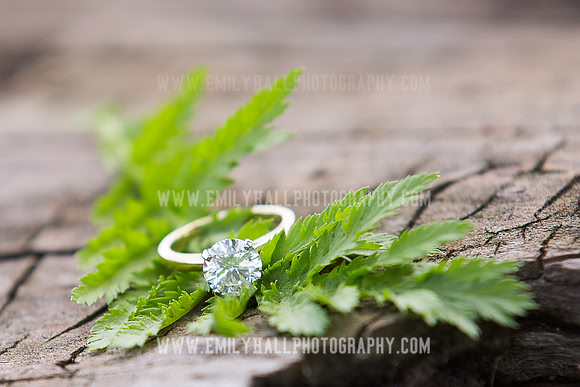 Emily Hall Photography - Proposal Photos-7718