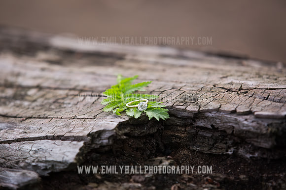 Emily Hall Photography - Proposal Photos-7720
