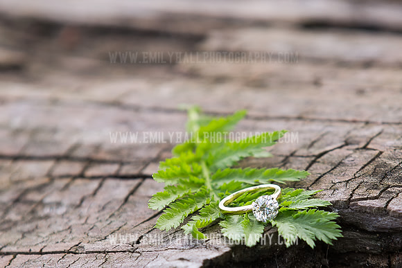 Emily Hall Photography - Proposal Photos-7721