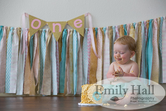 Emily Hall Photography - Charlotte - 1-3446