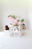 Albany Cake Smash Photographer-2275