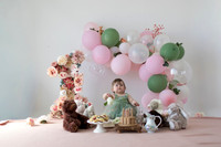 Albany Cake Smash Photographer-2310