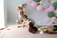 Albany Cake Smash Photographer-2316