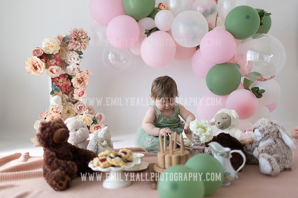 Albany Cake Smash Photographer-2335