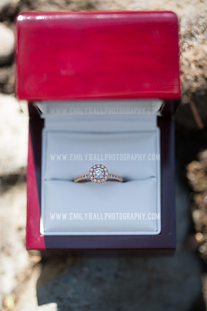 Emily Hall Photography - Engagement-4847