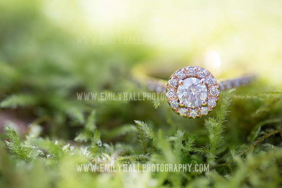 Emily Hall Photography - Engagement-4846
