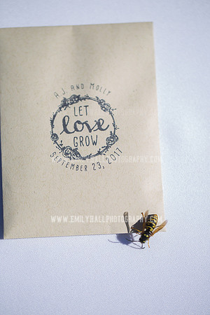 Emily Hall Photography - Wedding-6719