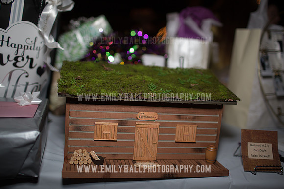 Emily Hall Photography - Wedding-8104