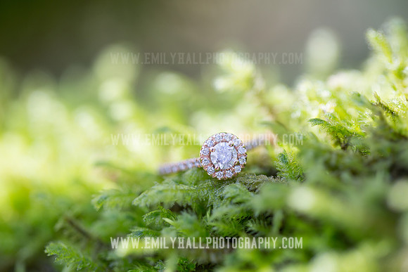 Emily Hall Photography - Engagement-4853