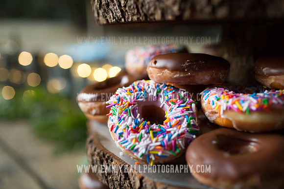 Emily Hall Photography - Wedding-7887