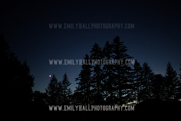 Emily Hall Photography - Wedding-8115