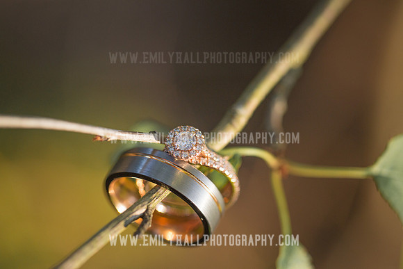 Emily Hall Photography - Wedding-7824