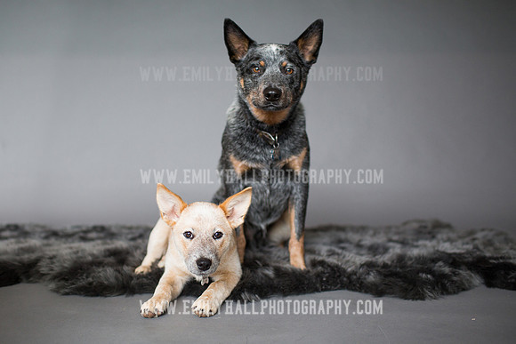Emily Hall Photography - 2017-9856