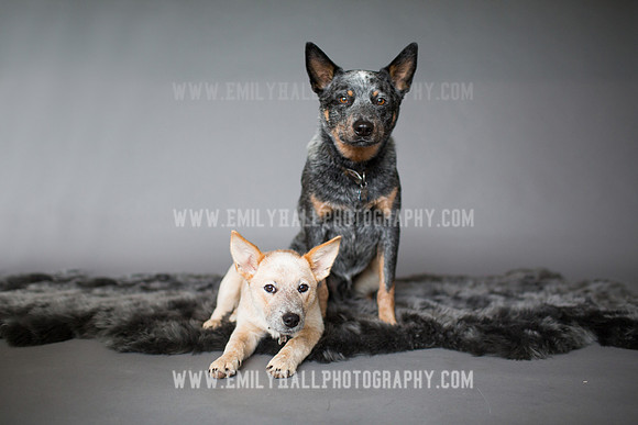 Emily Hall Photography - 2017-9857