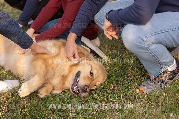 Emily Hall Photography - 2021-9026