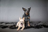 Emily Hall Photography - 2017-9862