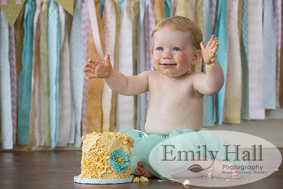 Emily Hall Photography - Charlotte - 1-3466