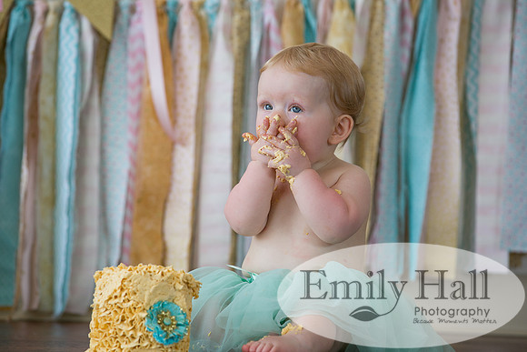 Emily Hall Photography - Charlotte - 1-3454