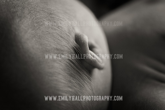 Emily Hall Photography - Owen-9754-2