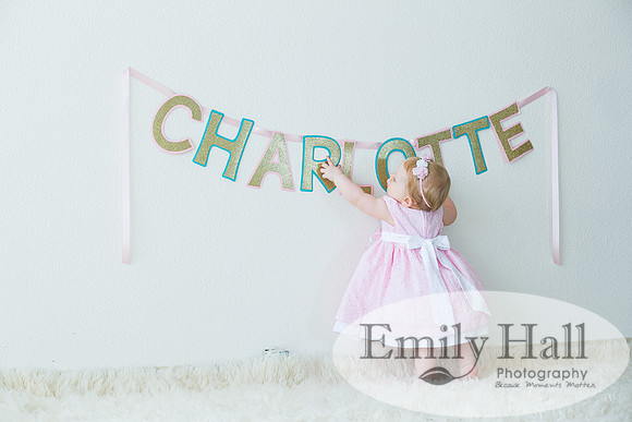 Emily Hall Photography - Charlotte - 1-3112