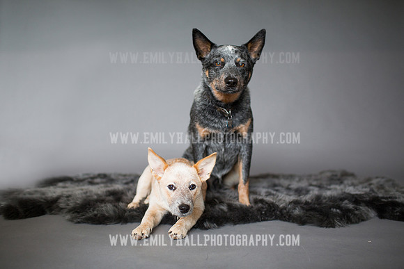 Emily Hall Photography - 2017-9858