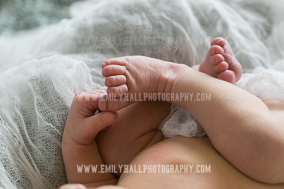 Emily Hall Photography - Owen-9758