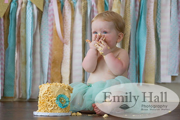 Emily Hall Photography - Charlotte - 1-3455