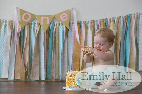 Emily Hall Photography - Charlotte - 1-3448