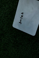 Nielson-Soccer-0704
