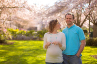 Baby Bump Rose