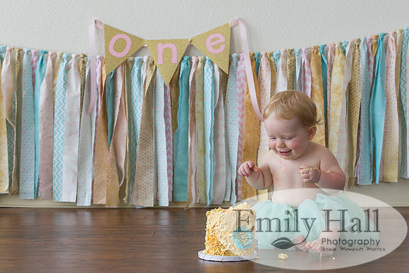 Emily Hall Photography - Charlotte - 1-3367